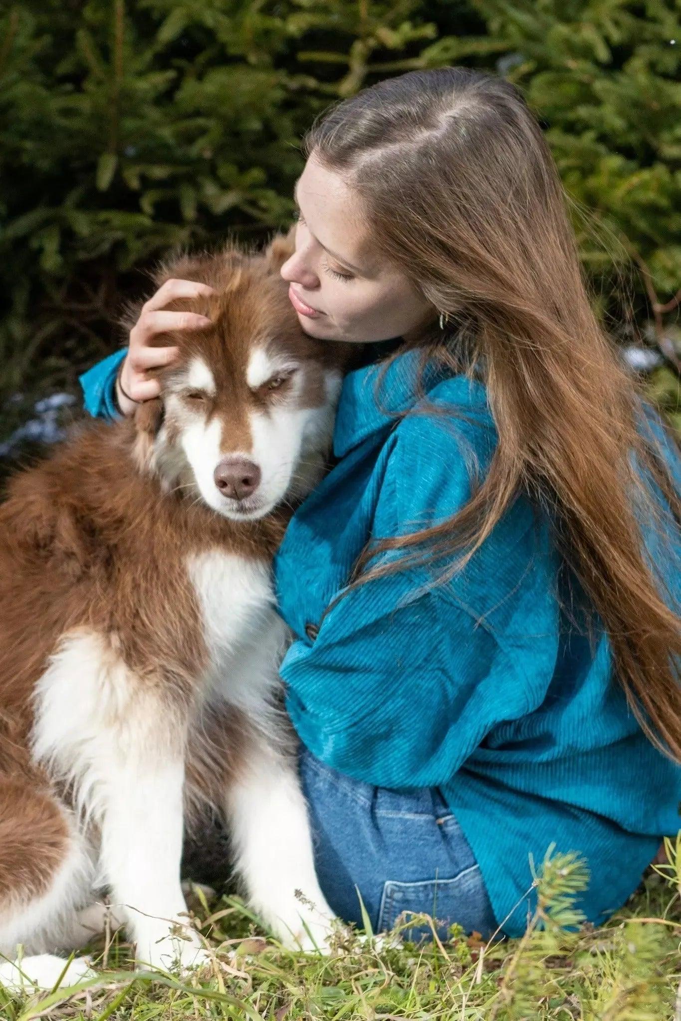 Blue Spruce Plaid Dog Bandana