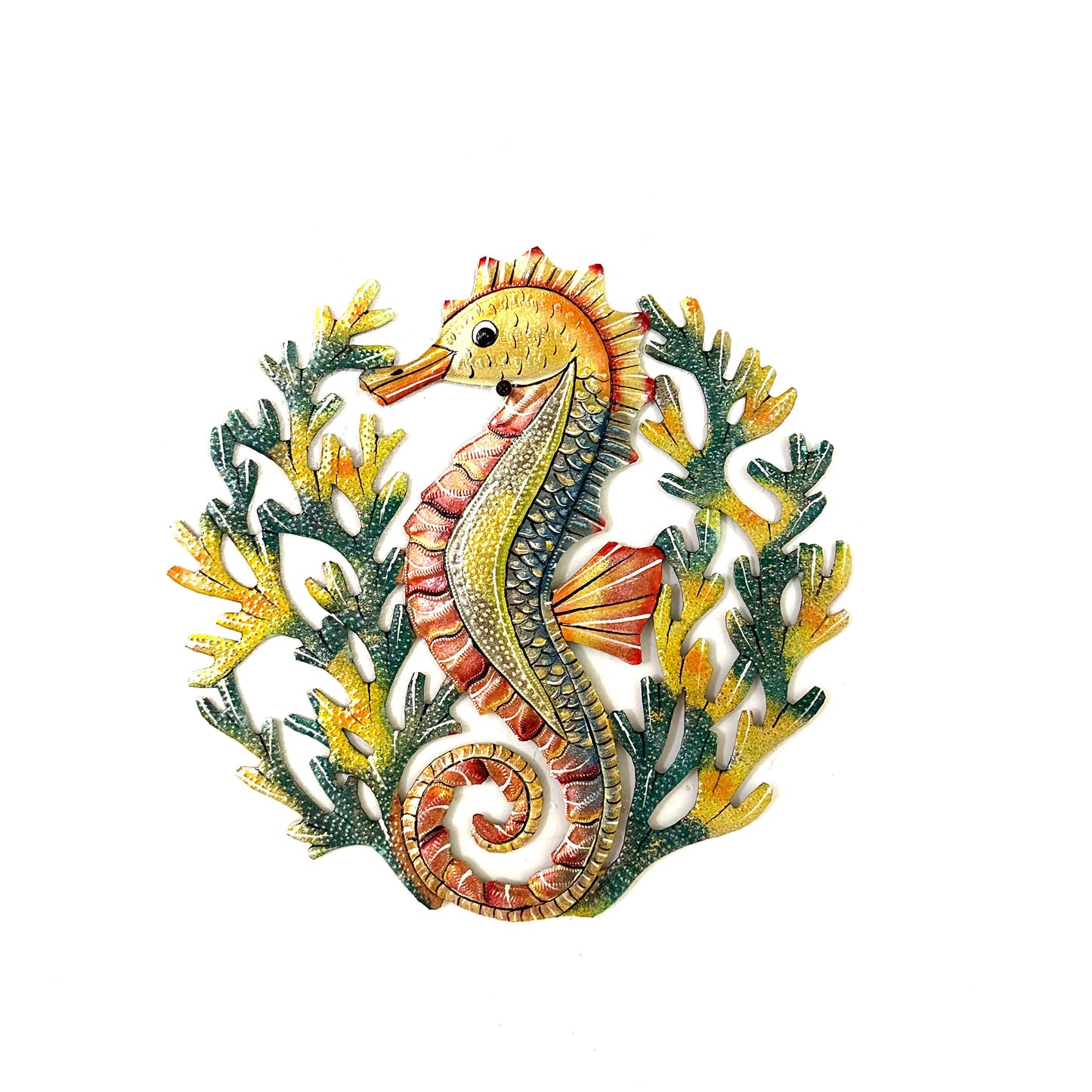 Medium Seahorse