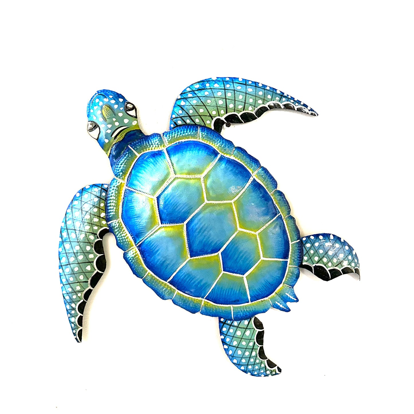 Blue- Green Sea Turtle