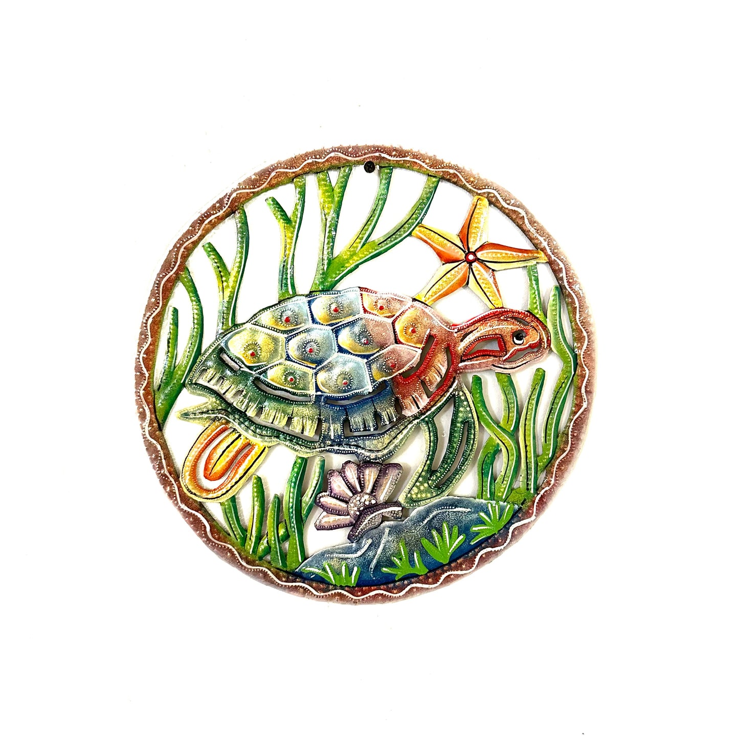 Medium Turtle in Seaweed