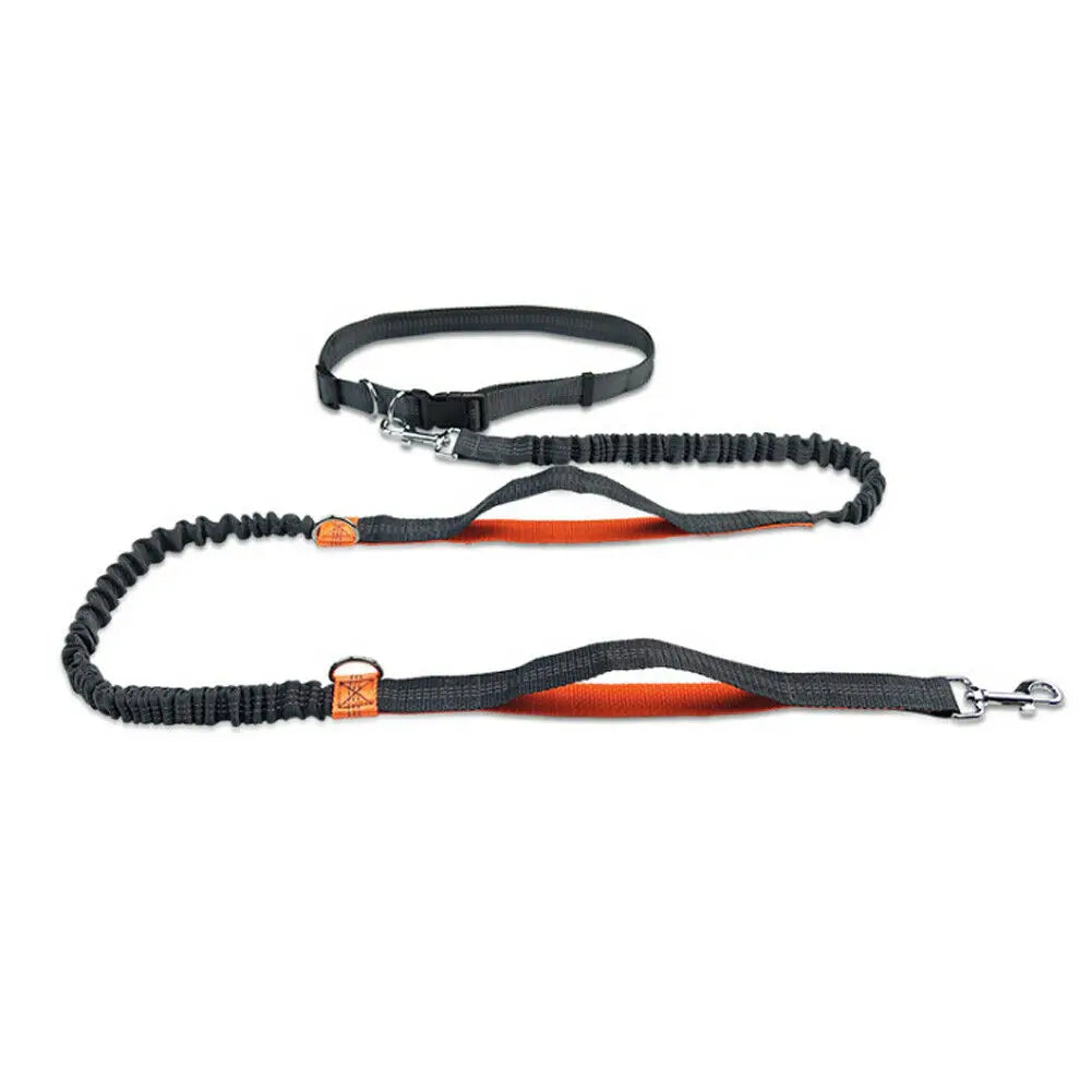 Reflective Leash Traction Rope Pet Dog Running Belt