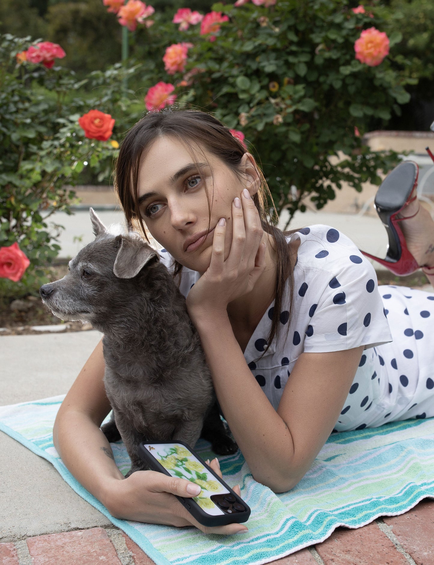 Yellow Roses iPhone Case