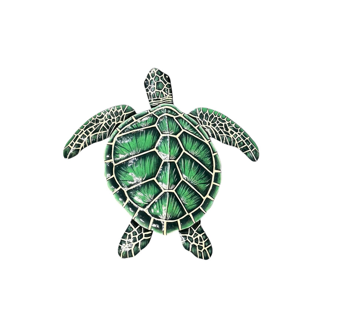 Medium Green Sea Turtle