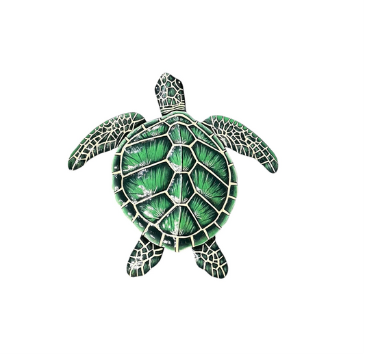 Medium Green Sea Turtle