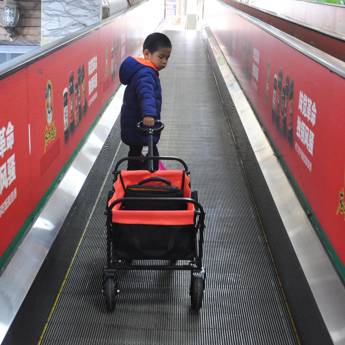 Folding Wagon Garden Shopping Beach Cart