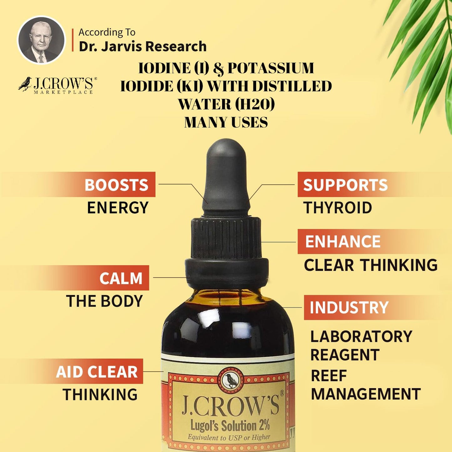 J.CROW'S® Lugol's Solution of Iodine 2% 2 oz (6 Bottles) – Premium Potassium Iodide Liquid, Supports Thyroid & Energy, Gluten &, Alcohol-Free Natural Brine Extract, No Expiration
