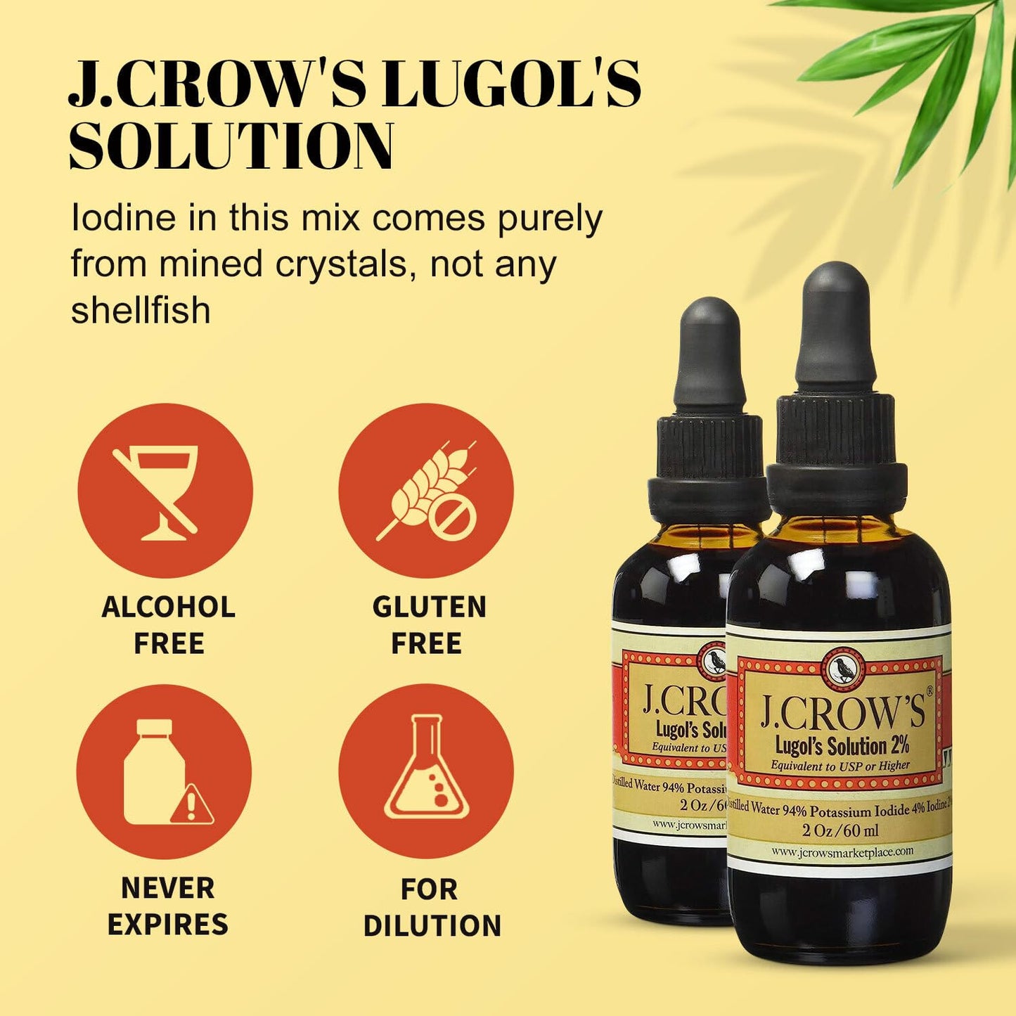 J.CROW'S® Lugol's Solution of Iodine 2% 2 oz (6 Bottles) – Premium Potassium Iodide Liquid, Supports Thyroid & Energy, Gluten &, Alcohol-Free Natural Brine Extract, No Expiration