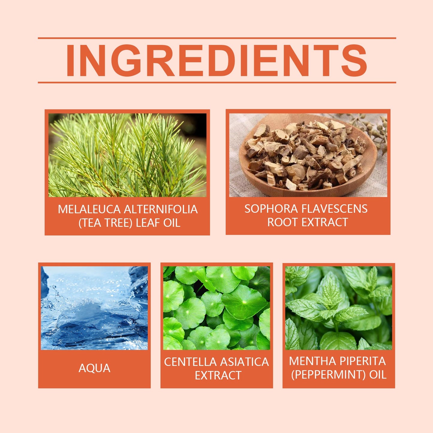 Kew Lotion Herbal Essence Gently Cleanses And Moisturizes The Body And Skin Care Lotion