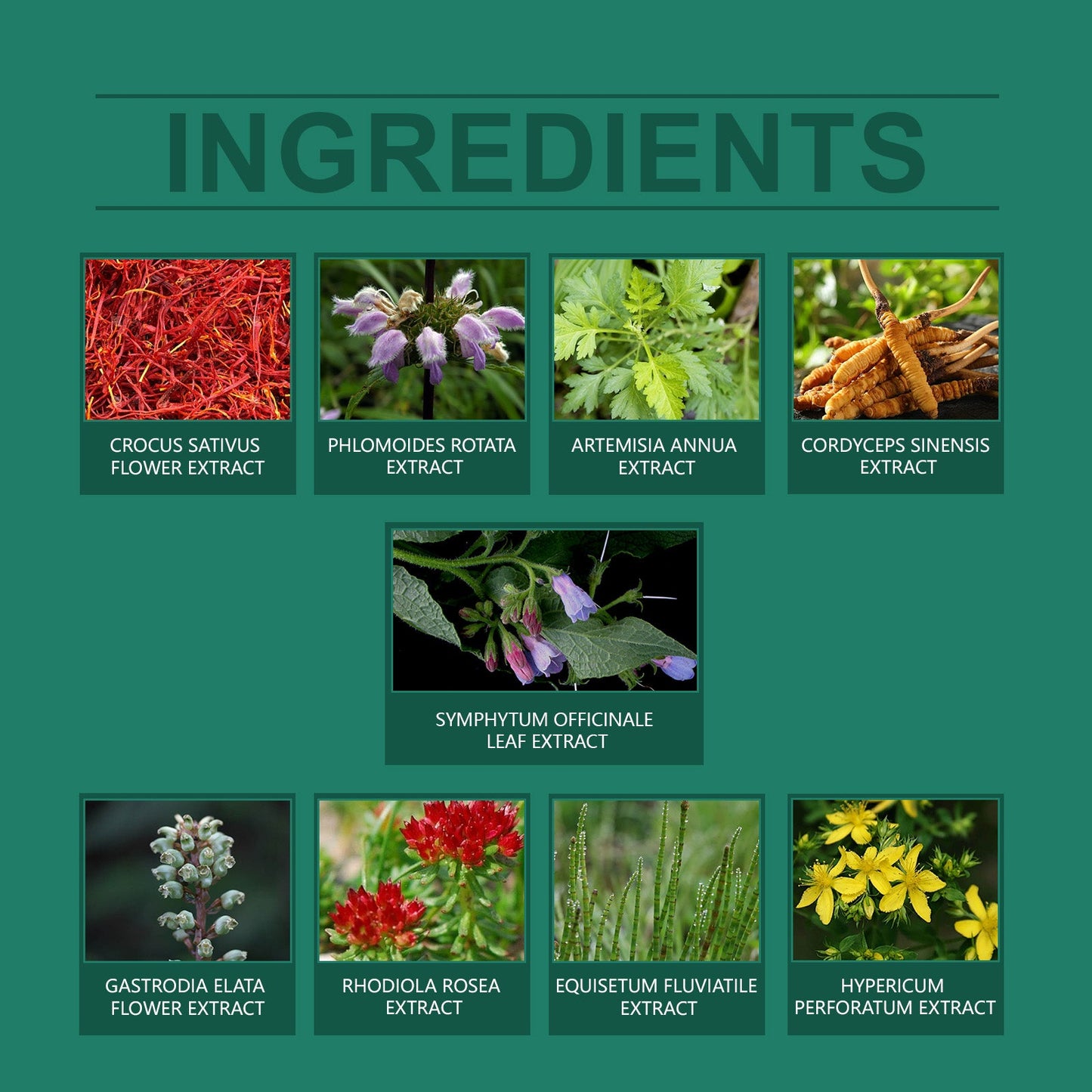 Joint Plant Cream Rub Rub Knee Soothing Body Skin Herbal Cream