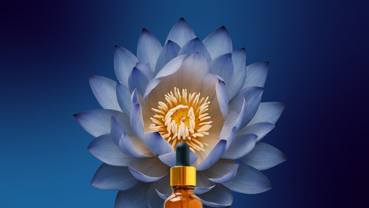 Lucid ✦ Blue Lotus Tincture