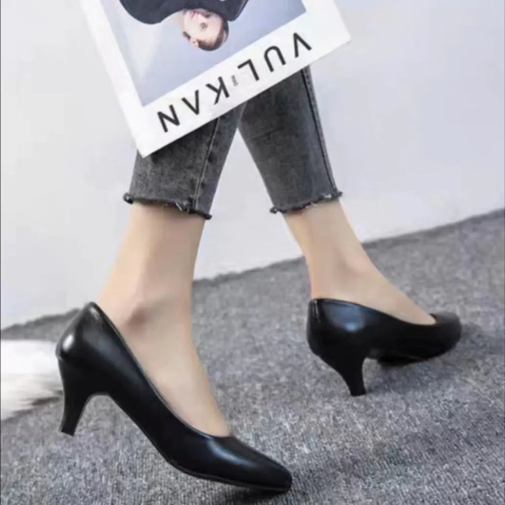 Pointed Toe and Flat Work Shoes for Women in Black/Nude