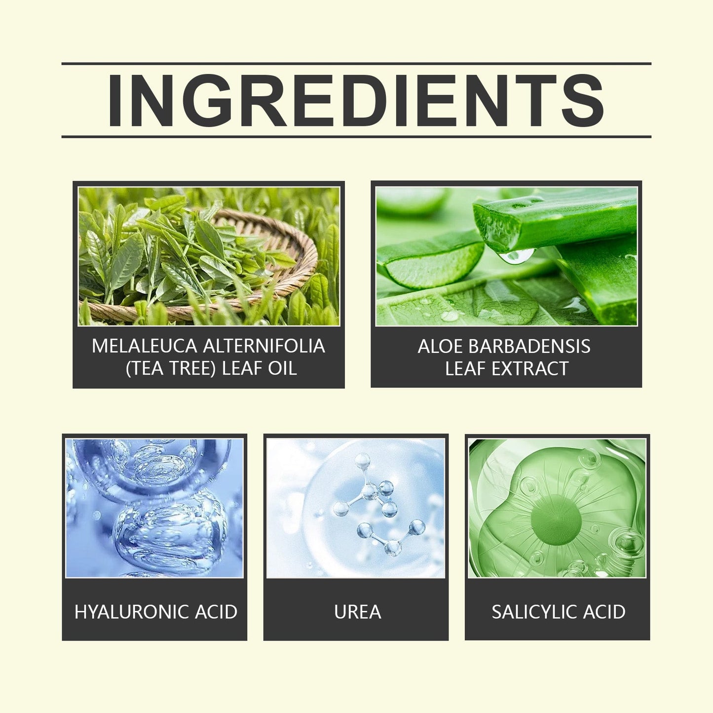 Foot Care Cream Anti-Dryness Moisturizing Repair Hydrating Heel Moisturizing Skin Care Cream