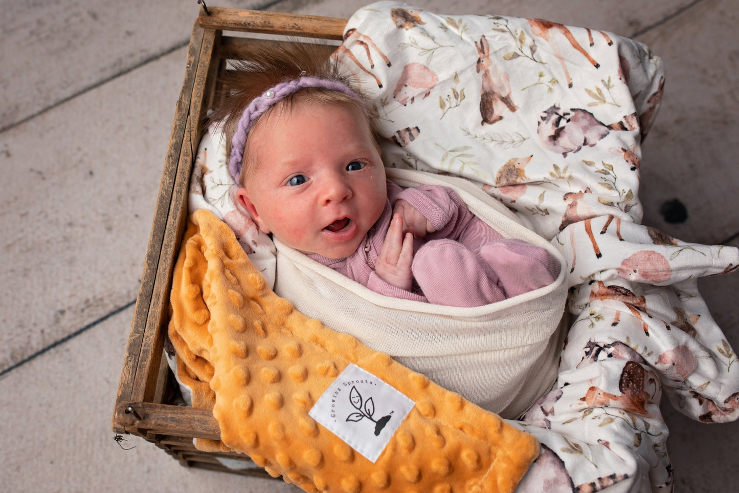 Forest Friends Minky Blanket