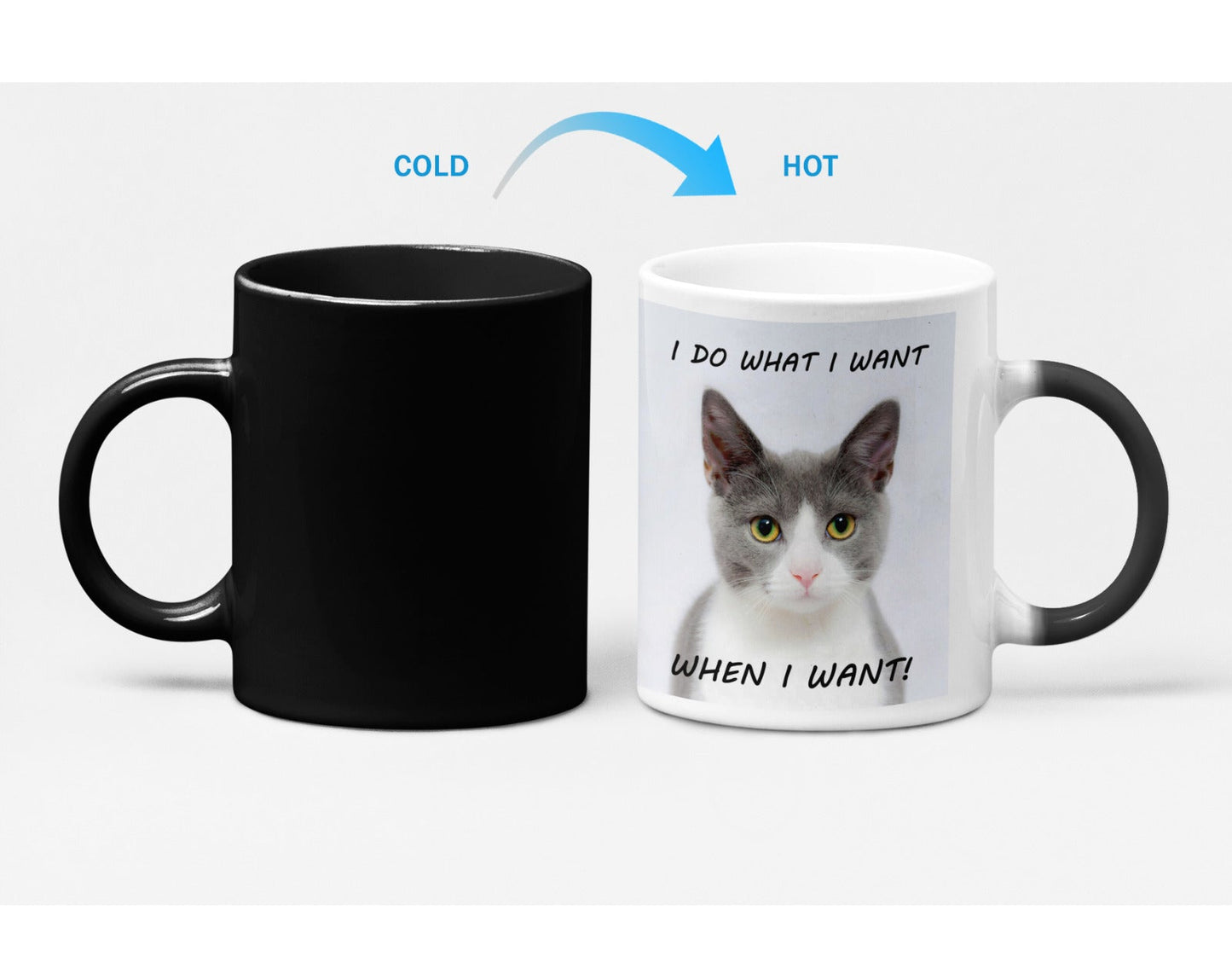 Bossy Kitten Heat Sensitive Color Changing Coffee Mug