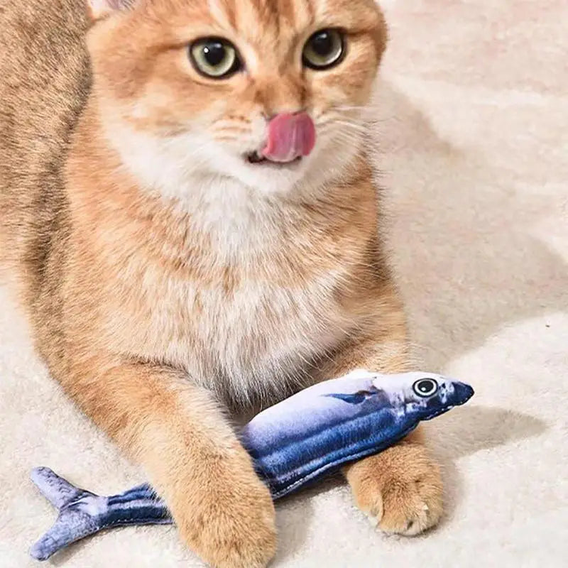 Floppy Fish PlayMate