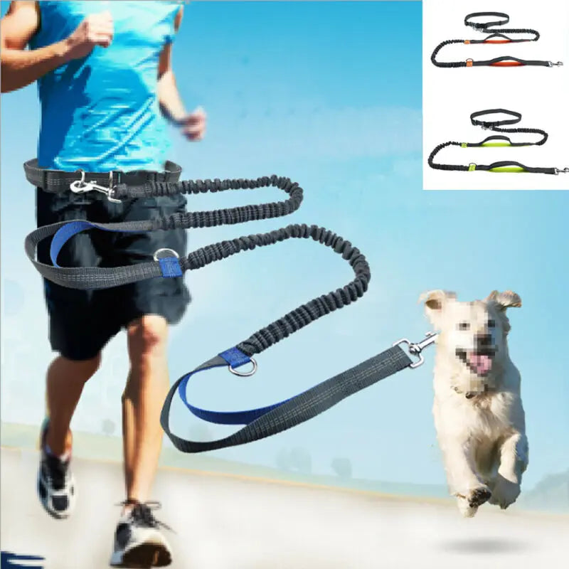 Reflective Leash Traction Rope Pet Dog Running Belt