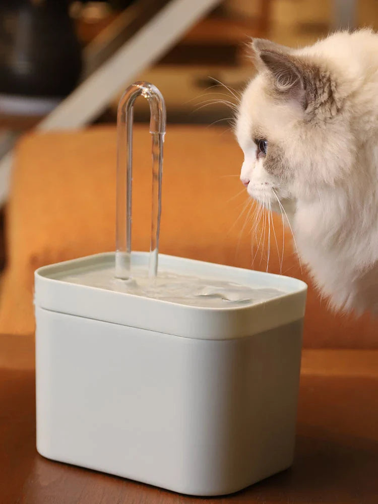 Ultra-Quiet Pet Water Fountain Auto Filter USB Electric