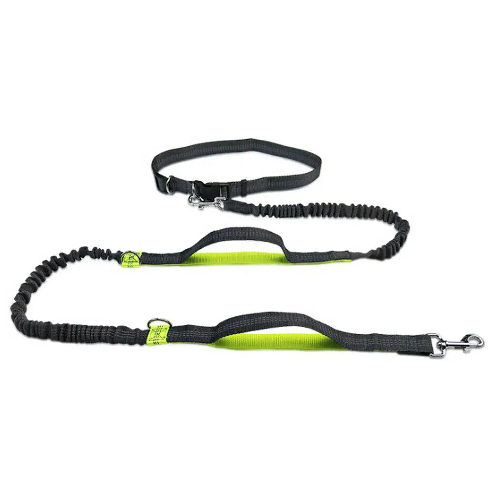 Reflective Leash Traction Rope Pet Dog Running Belt