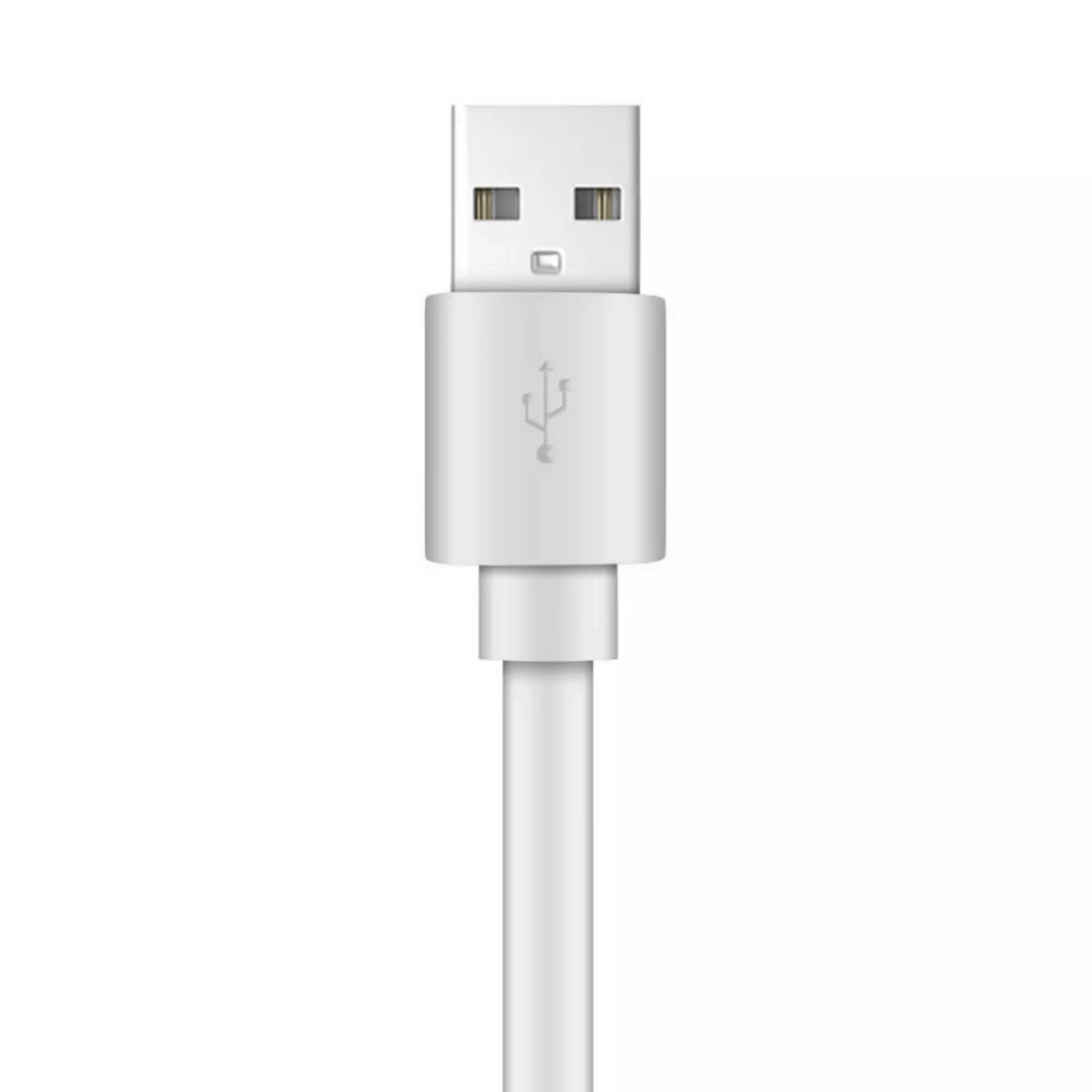 Xyst Charge and Sync USB to Lightning Flat Cable 4Ft