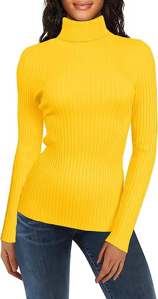 Fashionable Turtleneck Ribbed Sweater for Women